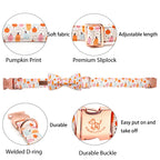Pretty Pumpkin Patch Collar and Leash