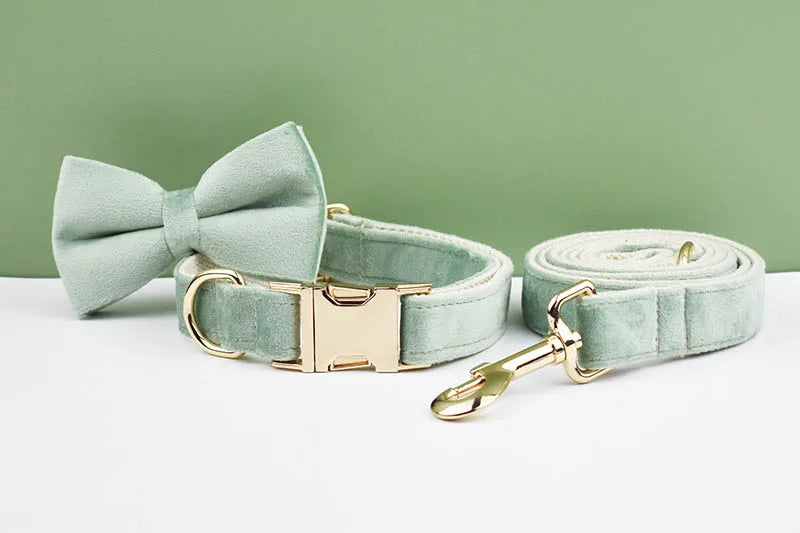 Mint Green Velvet Dog Collar & Leash Set