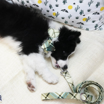 Duncan Plaid Collar, Harness & Leash Set