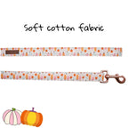 Pretty Pumpkin Patch Collar and Leash