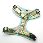 Duncan Plaid Collar, Harness, and Leash Set
