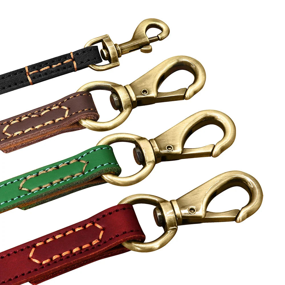 The Classic Leather Lead