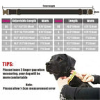 Personalized Dog Collar with Free Engraving, Matching Pet Leash,Customzied Contacts Metal Buckle, Purple Lotus Pet Collar