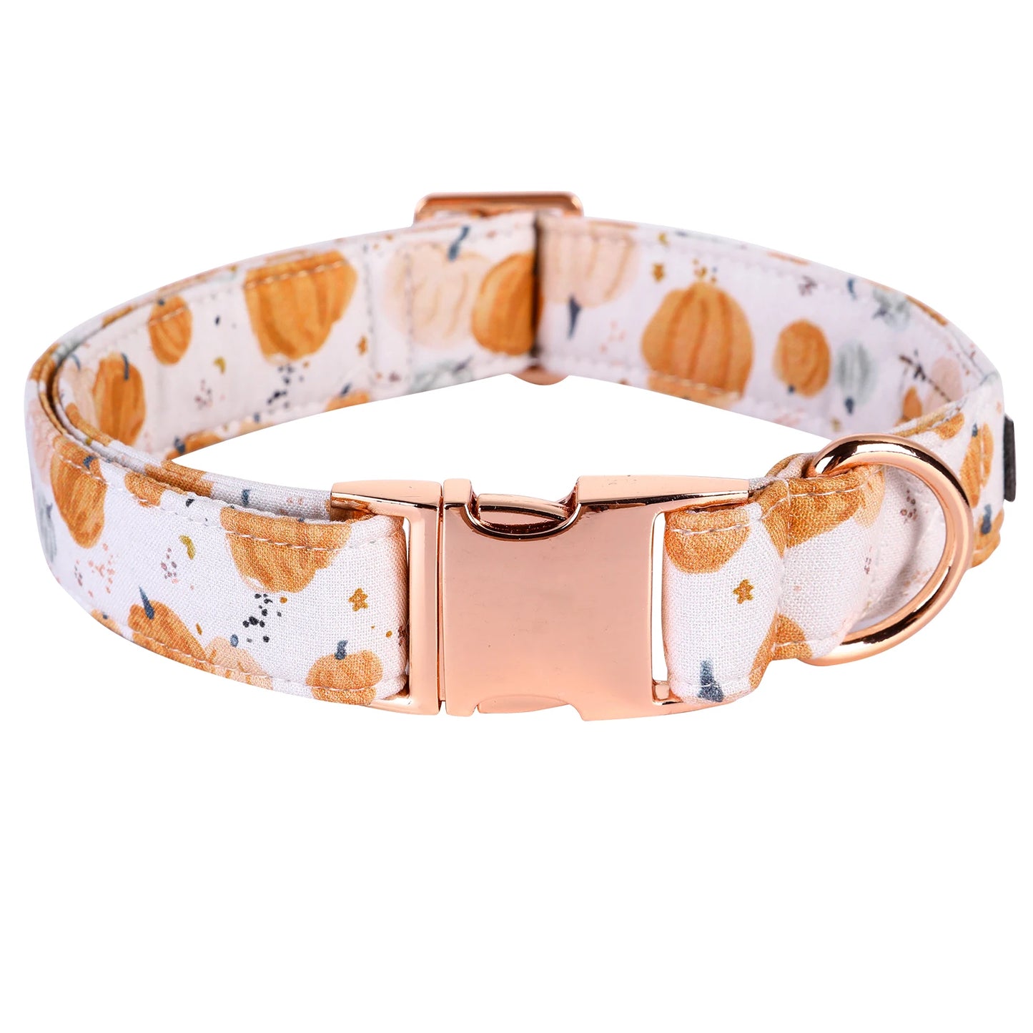 Elegant Little Pumpkin Collar and Leash