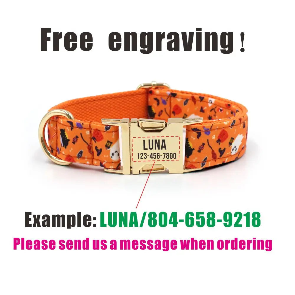 Orange Halloween Dog Collar & Leash Set