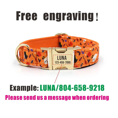 Orange Halloween Dog Collar & Leash Set