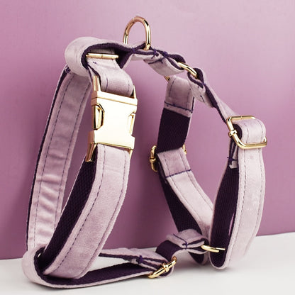 Shimmer Purple Collar and Harness Set
