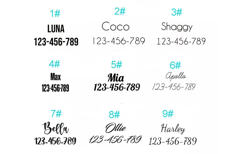 Blue Grid Dog Leash with Engraved ID Tag