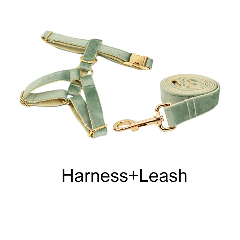 Mint Green Velvet Dog Collar & Leash Set