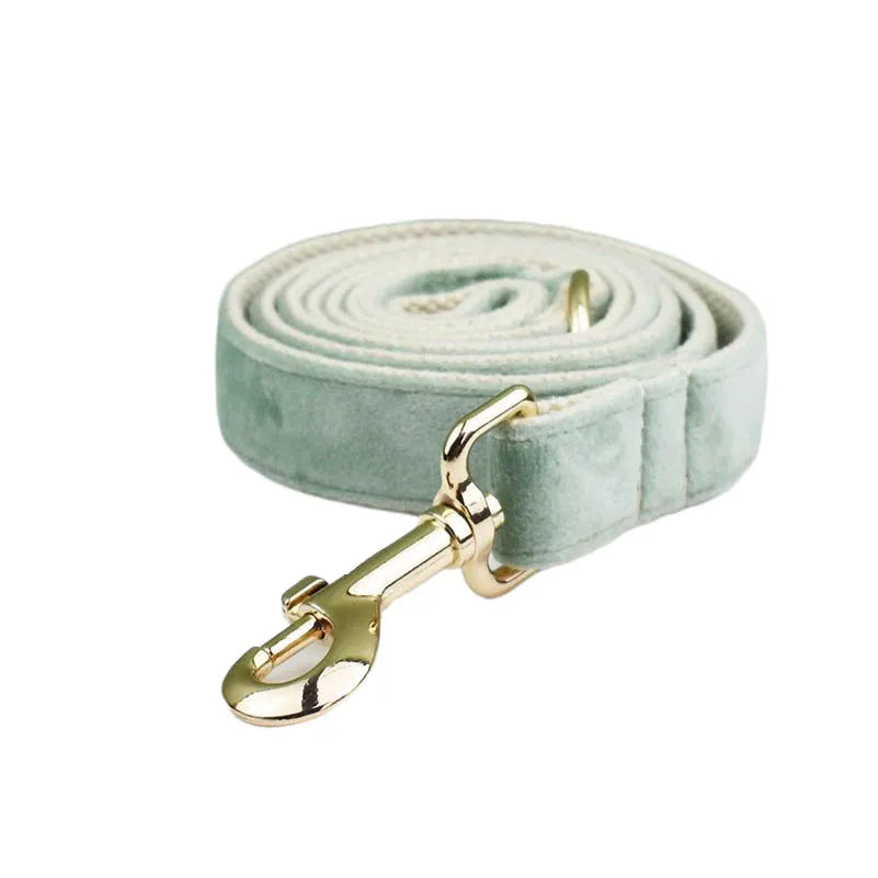 Mint Green Velvet Dog Collar & Leash Set
