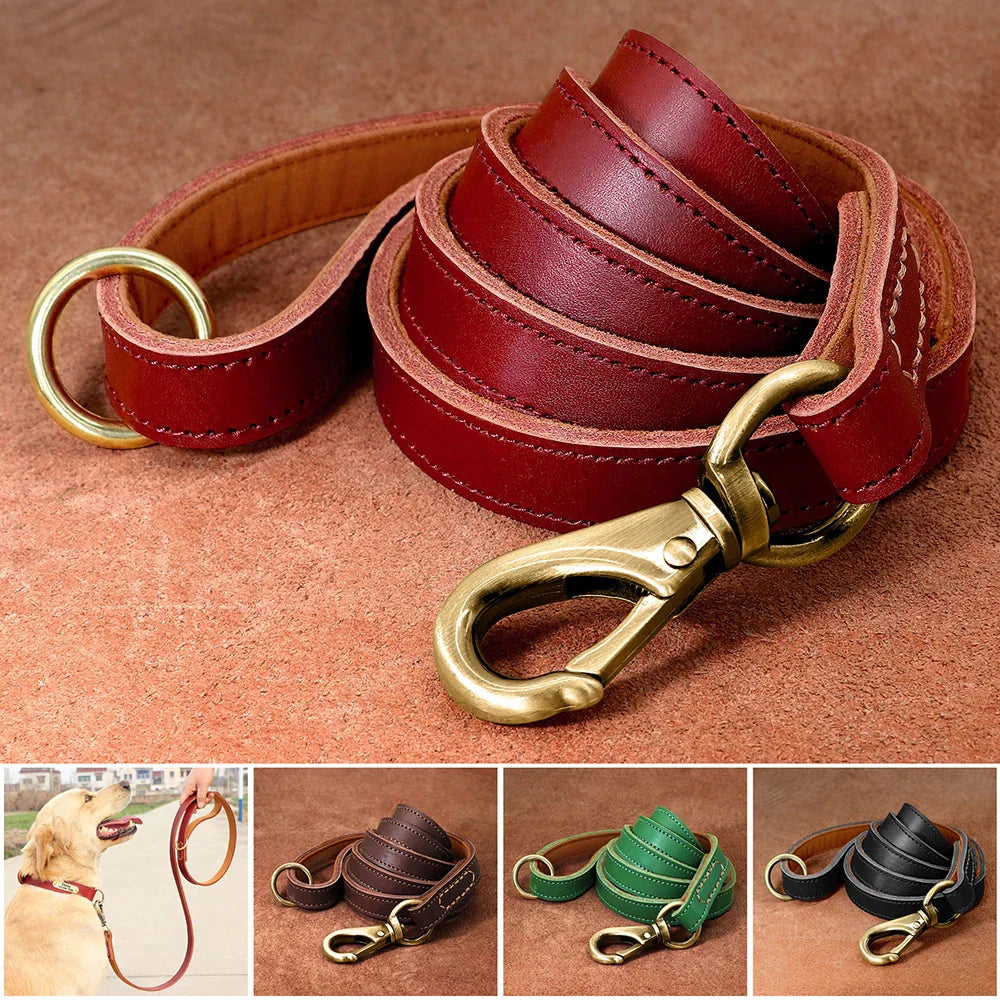 The Classic Leather Lead detail view | Cutie Paw Co.
