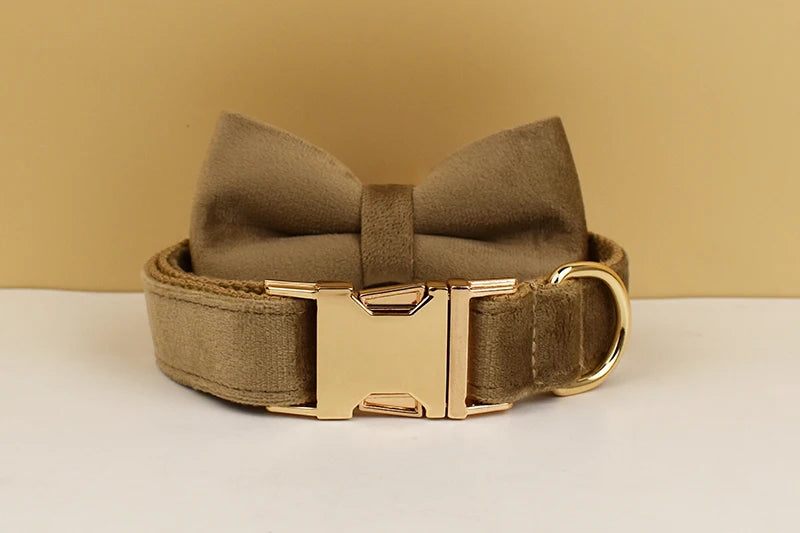 Shallow khaki Velvet Dog Collar And Leash Set For Dogs Custom Engraved Nameplate Pet Supplies Dog Leash Velvet 19