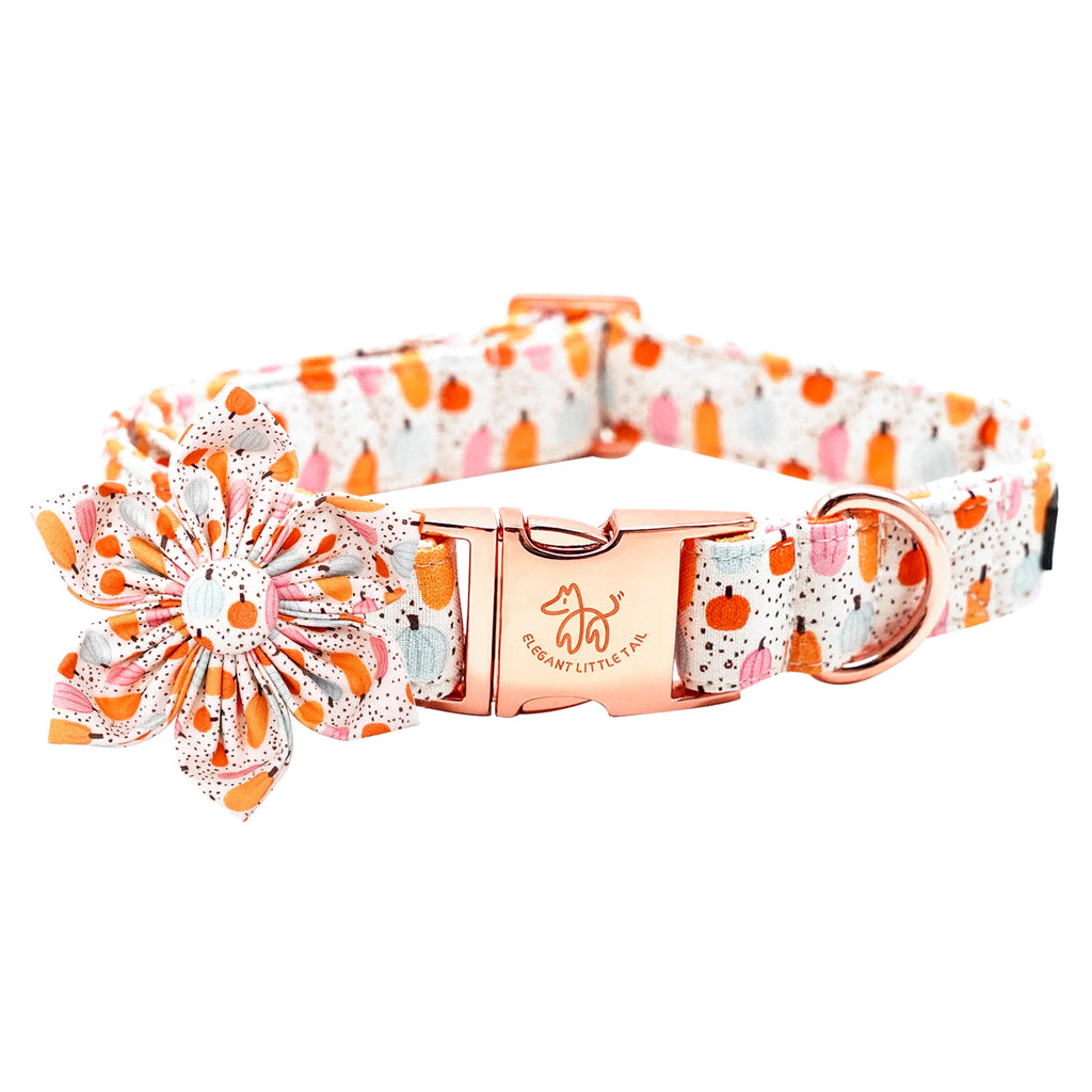 Pretty Pumpkin Patch Collar and Leash