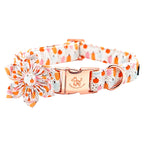 Pretty Pumpkin Patch Collar and Leash