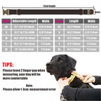 Personalized Pet Collar Free Engraving Custom Puppy Nameplate ID Tag Adjustable Buckle Bat Holloween Collars Leash