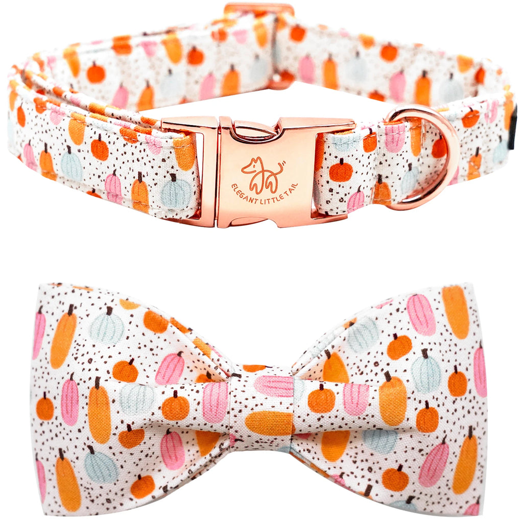 Pretty Pumpkin Patch Collar and Leash