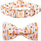 Pretty Pumpkin Patch Collar and Leash
