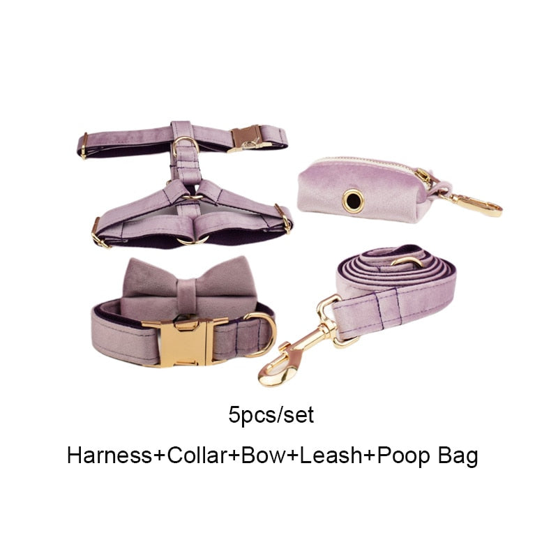 Shimmer Purple Collar and Harness Set