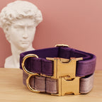 Velvet Collar