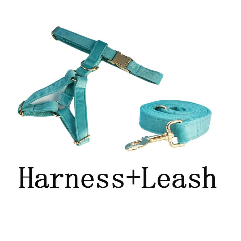 Everly Turquoise Harness, Collar, and Leash Set