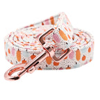 Pretty Pumpkin Patch Collar and Leash