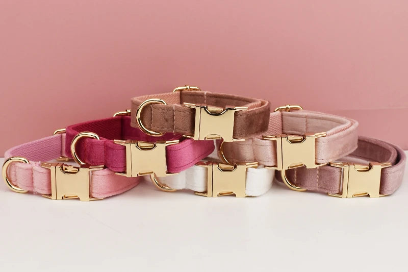 Velvet Collar
