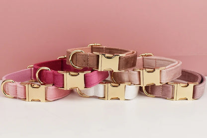 Velvet Collar