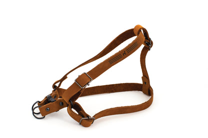 Sport Style Leather Step In Harness on dog — dog harness close-up | Cutie Paw Co.