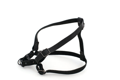 Sport Style Leather Step In Harness detail view | Cutie Paw Co.