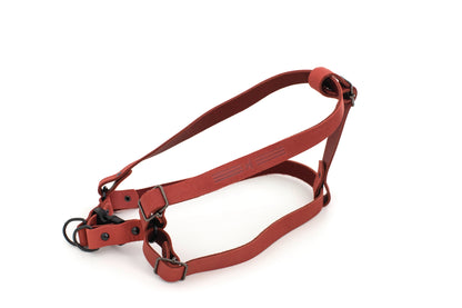 Sport Style Leather Step In Harness detail view | Cutie Paw Co.