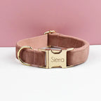 Velvet Collar