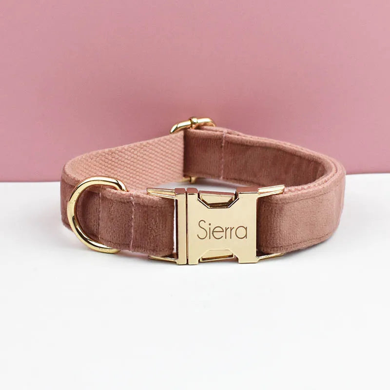 Velvet Collar