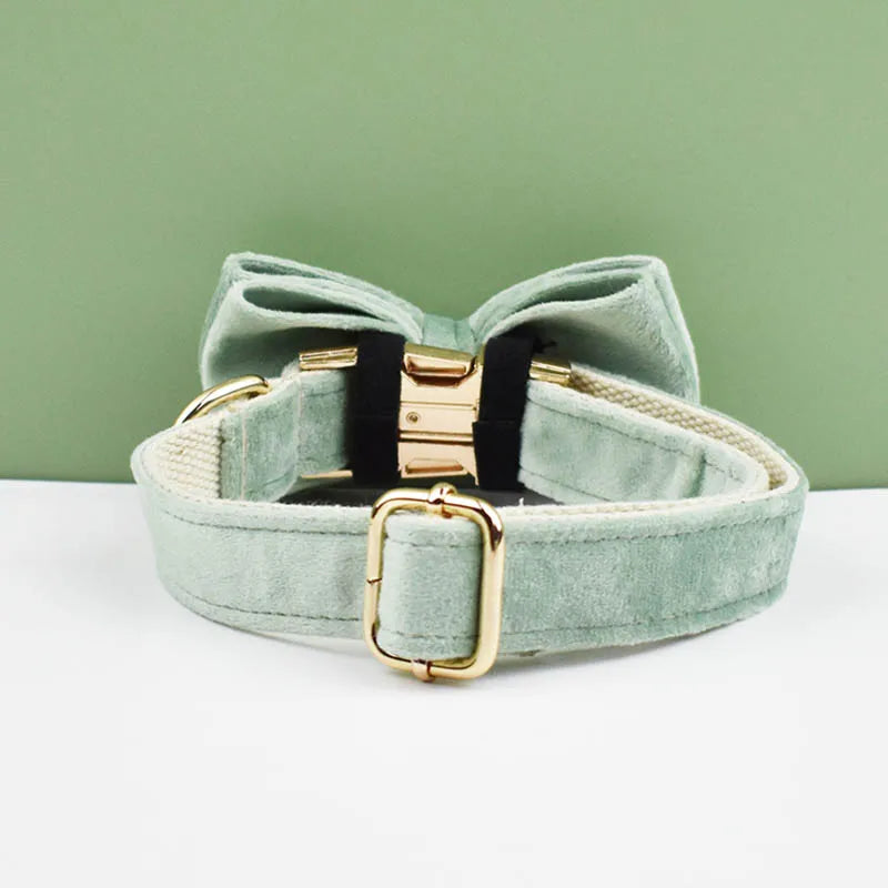 Mint Green Velvet Dog Collar & Leash Set