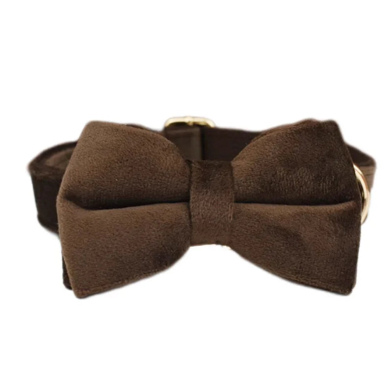Dark Brown Velvet Dog Collar & Leash Set