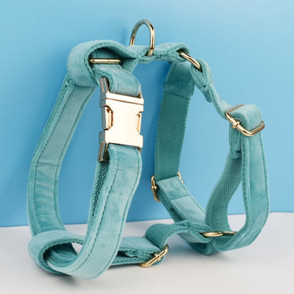 Everly Turquoise Harness, Collar, and Leash Set