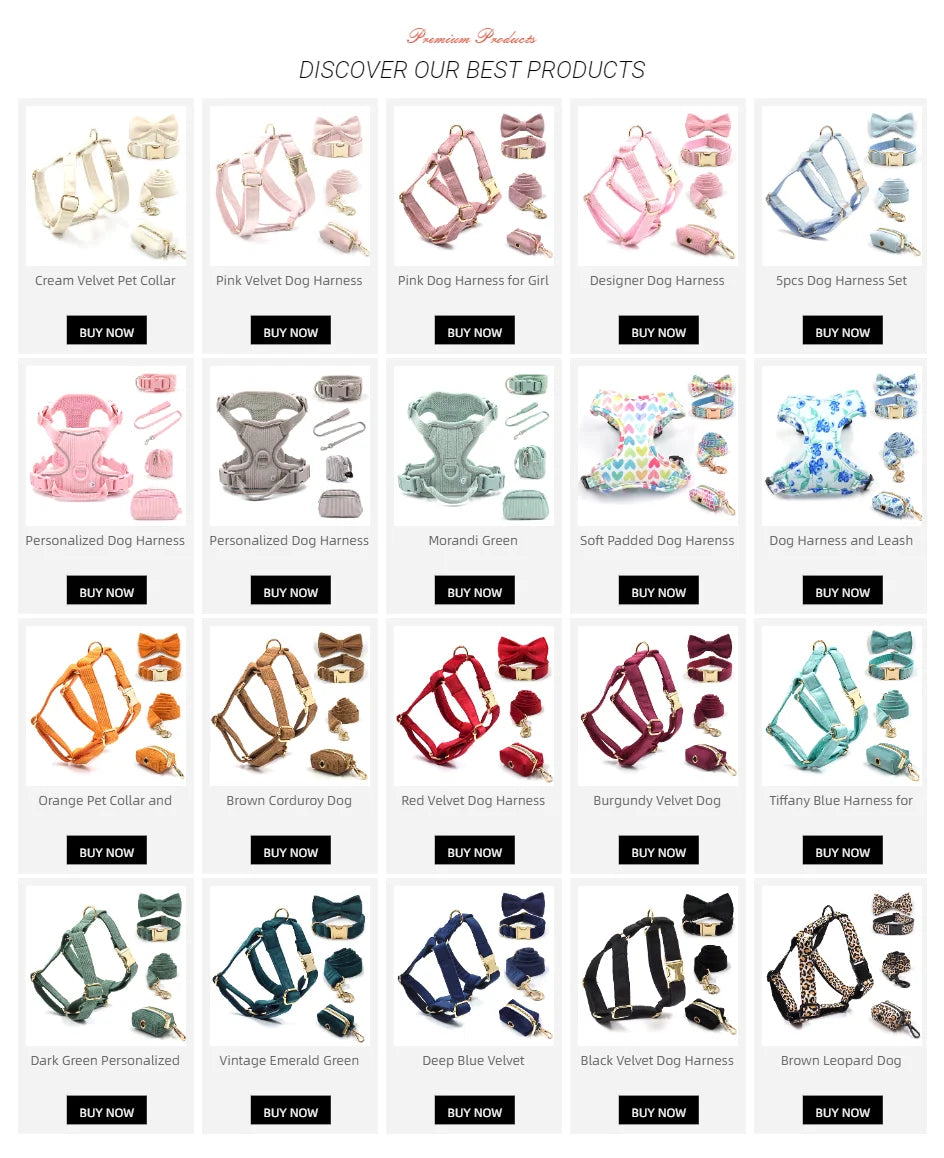 Light Blue Denim Collar, Leash & Harness Set