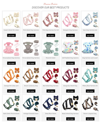 Light Blue Denim Collar, Leash & Harness Set