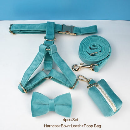 Everly Turquoise Harness, Collar, and Leash Set