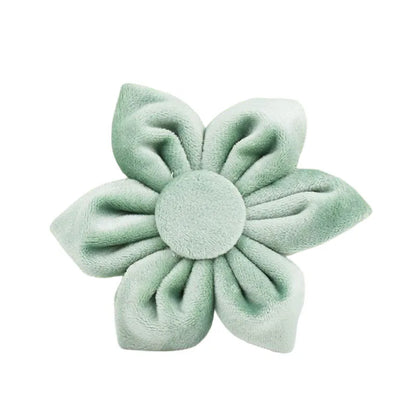 Mint Green Velvet Dog Collar & Leash Set