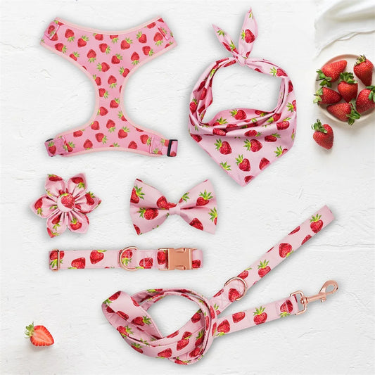 Strawberry Girly Dog Collar Flower with Matching Leash and Harness