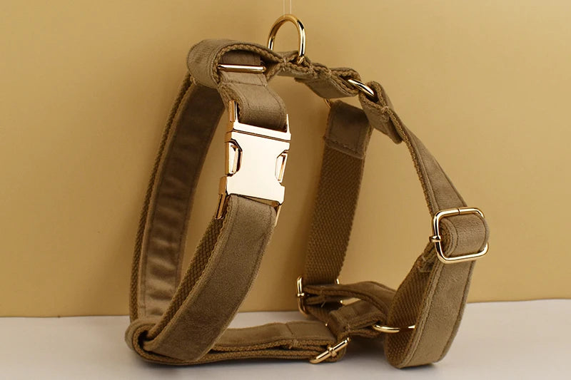 Shallow khaki Velvet Dog Collar And Leash Set For Dogs Custom Engraved Nameplate Pet Supplies Dog Leash Velvet 19