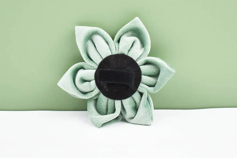 Mint Green Velvet Dog Collar And Leash Set For Dogs Custom Engraved Nameplate Pet Supplies Dog Leash Velvet 17