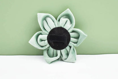 Mint Green Velvet Dog Collar & Leash Set