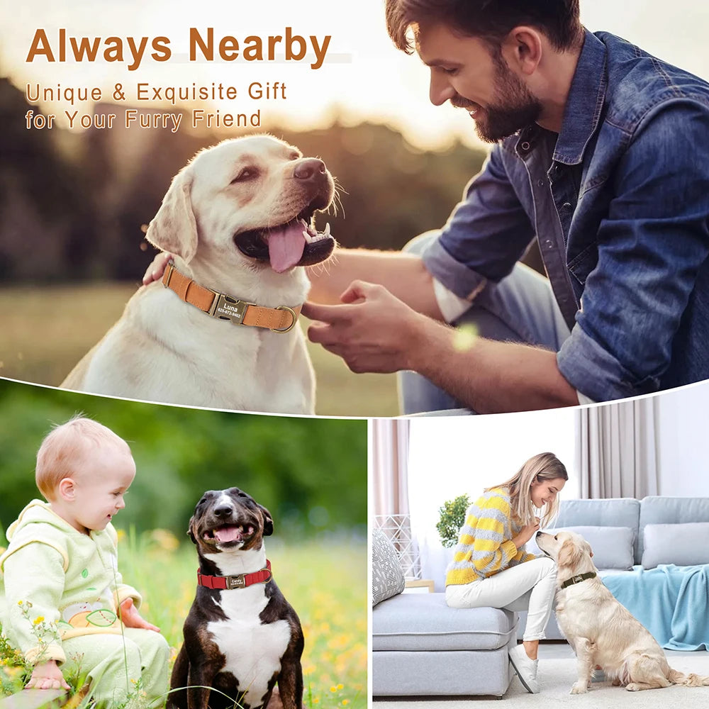 PU Leather Dog Collar with Engraved ID Tag