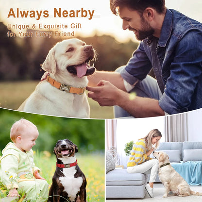 PU Leather Dog Collar with Engraved ID Tag