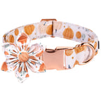 Elegant Little Pumpkin Collar and Leash