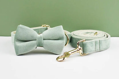 Mint Green Velvet Dog Collar & Leash Set
