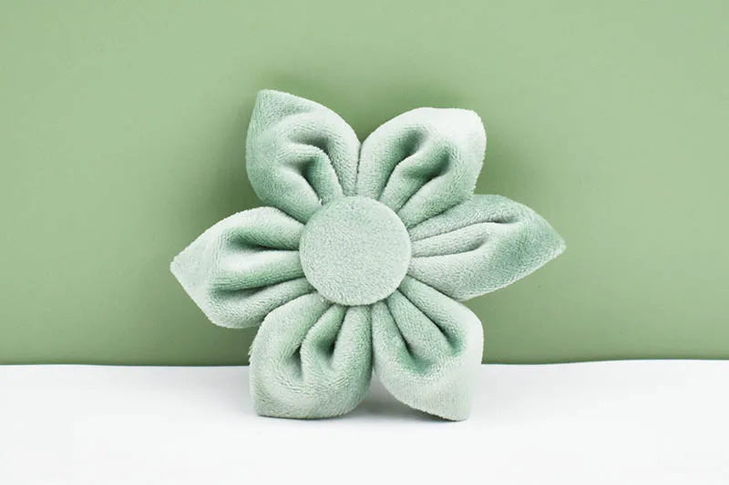 Mint Green Velvet Dog Collar & Leash Set