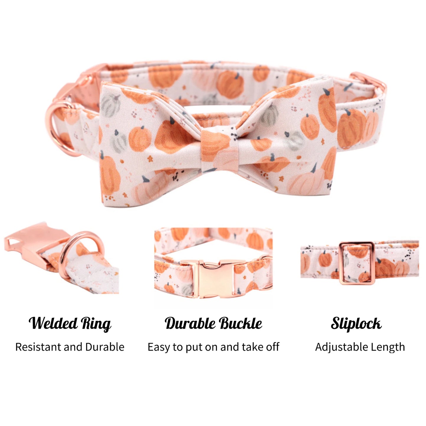 Elegant Little Pumpkin Collar and Leash