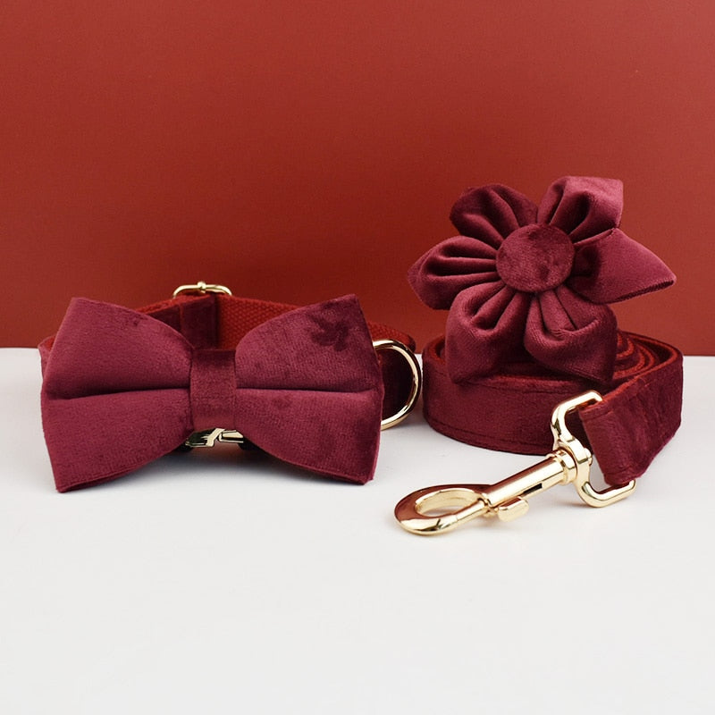 Red Wine Velvet Harness, Collar, and Leash Set